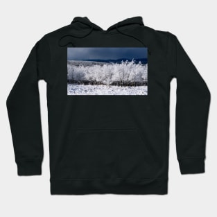 Winter Scene  with the Mountains in the background. Hoodie